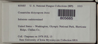 Image Associated With the Occurence